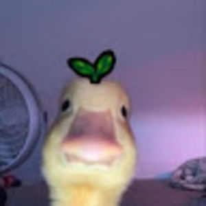 Meet your Posher, Samika